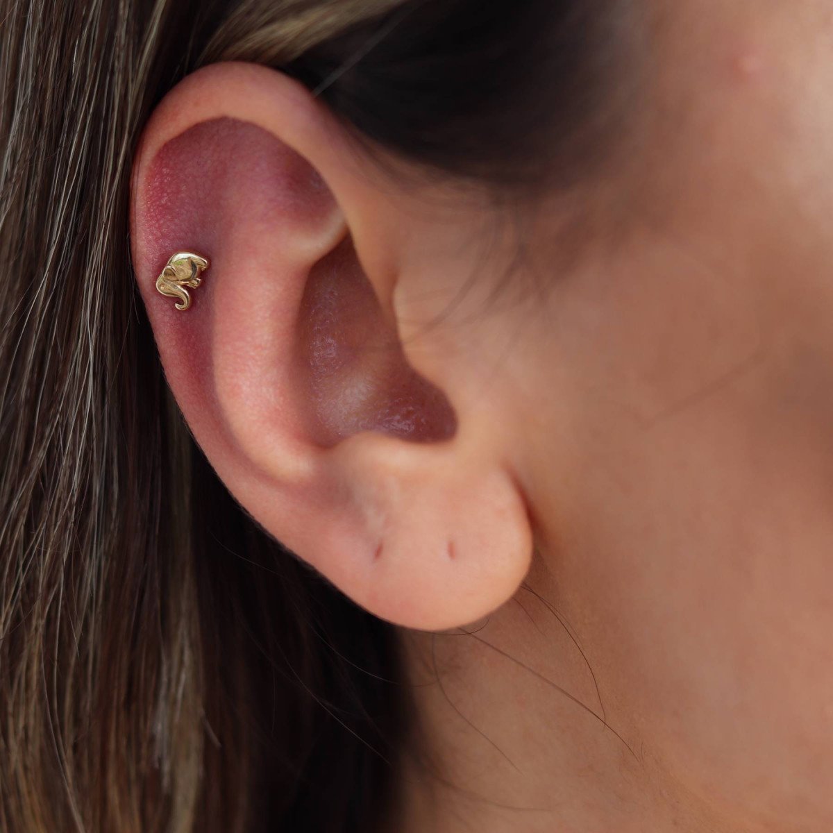Fil Piercing