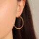 Cute Earrings 2-M