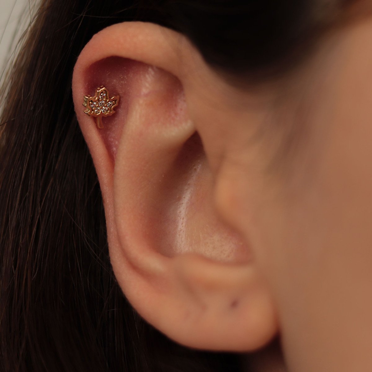 Yaprak Piercing