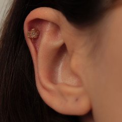 Yaprak Piercing
