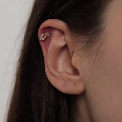 Kral Tacı Piercing