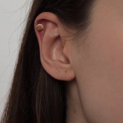 Midye Piercing