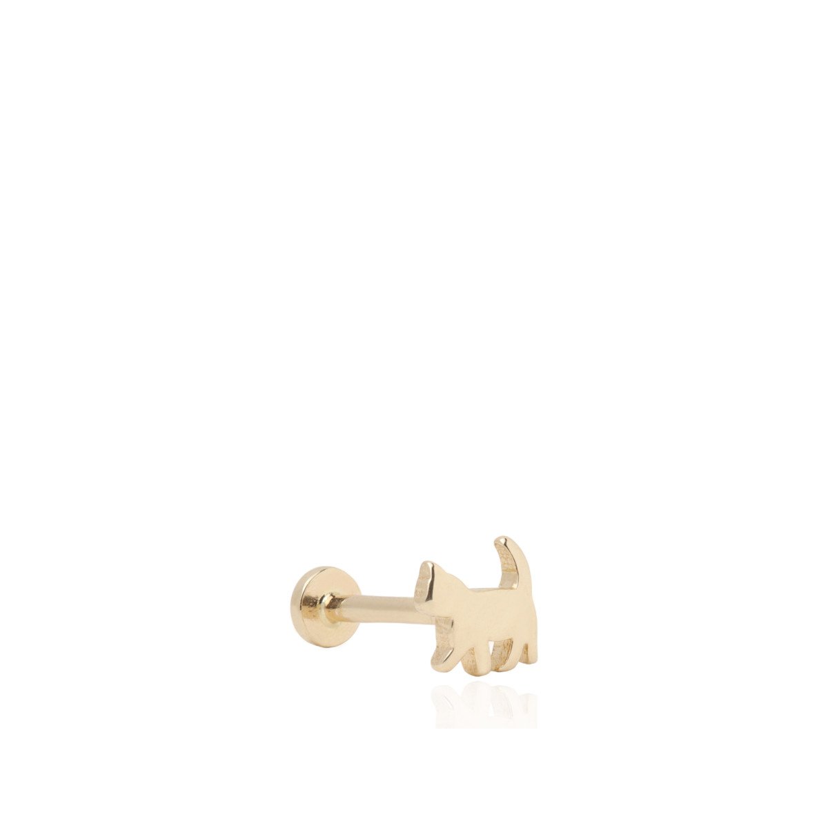 Kedi Piercing