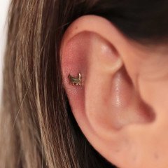 Kedi Piercing