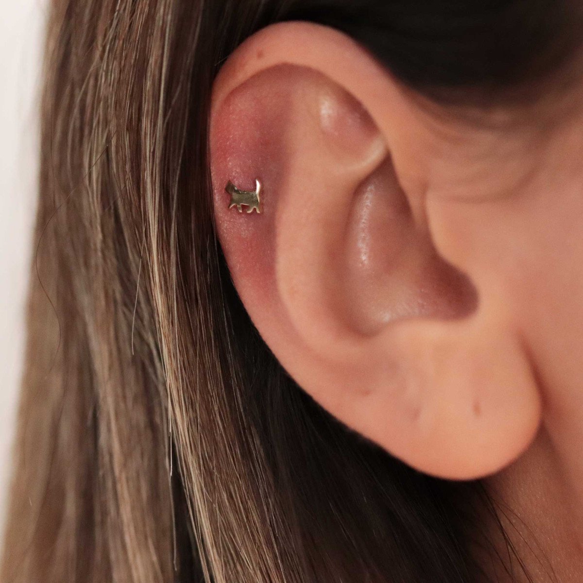 Kedi Piercing