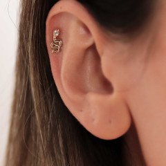 Yılan Piercing