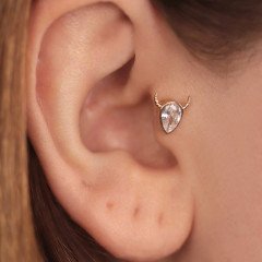 Taurus Piercing