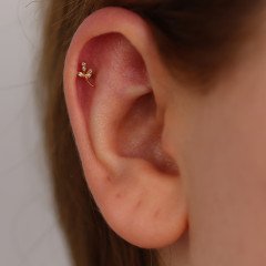 Taşlı Yaprak Piercing