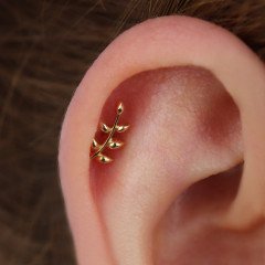Dal Piercing