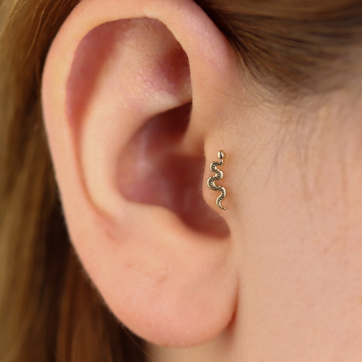 Yılan Piercing