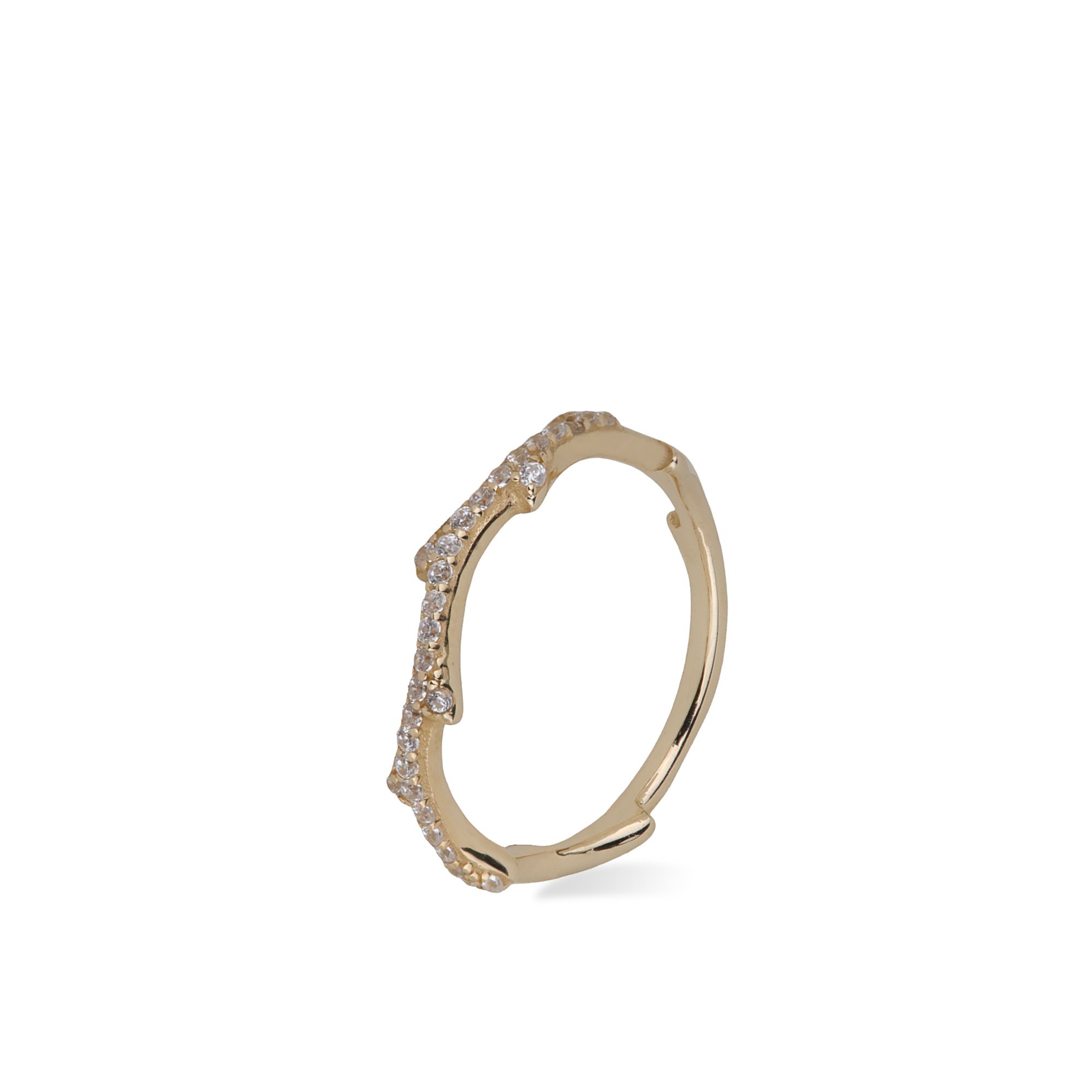 Branch Ring