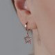 Star Earrings with Stones