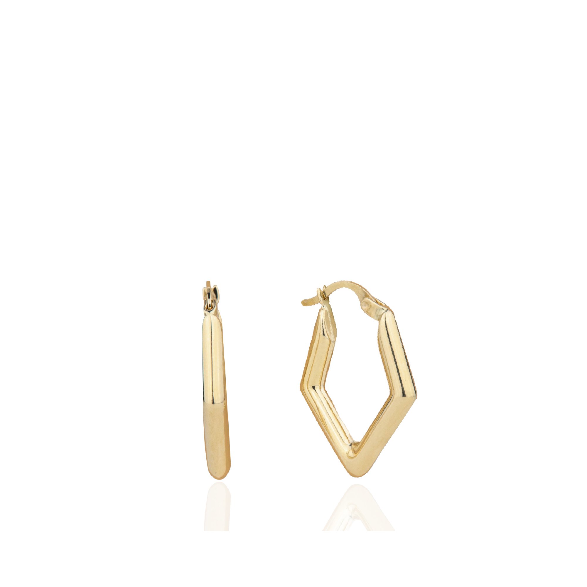 V Earrings