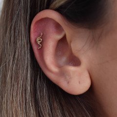Yılan Piercing
