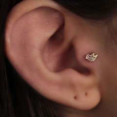 Larry Piercing