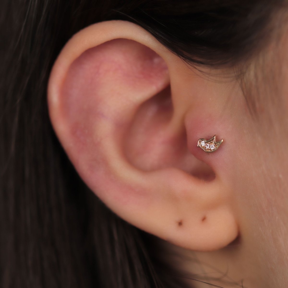Larry Piercing