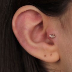 Larry Piercing