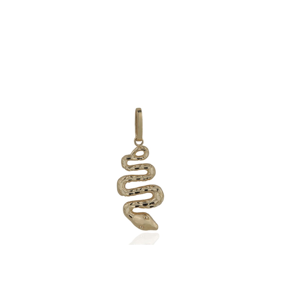 Yılan Charm