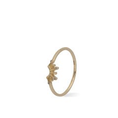 Taç Pırlanta Yüzük