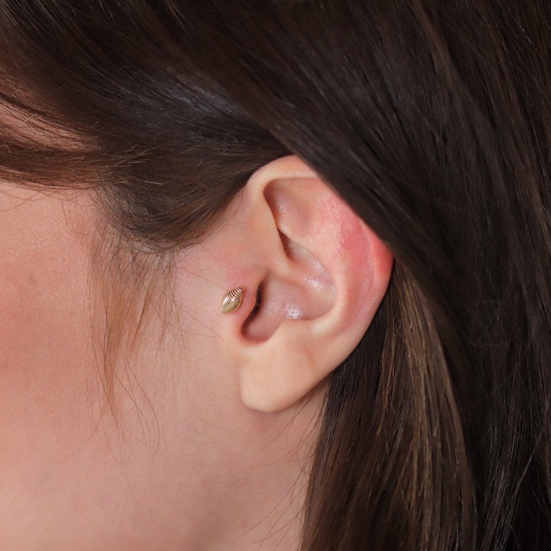 Midye Piercing