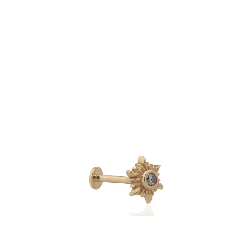 Rüzgar Gülü Piercing