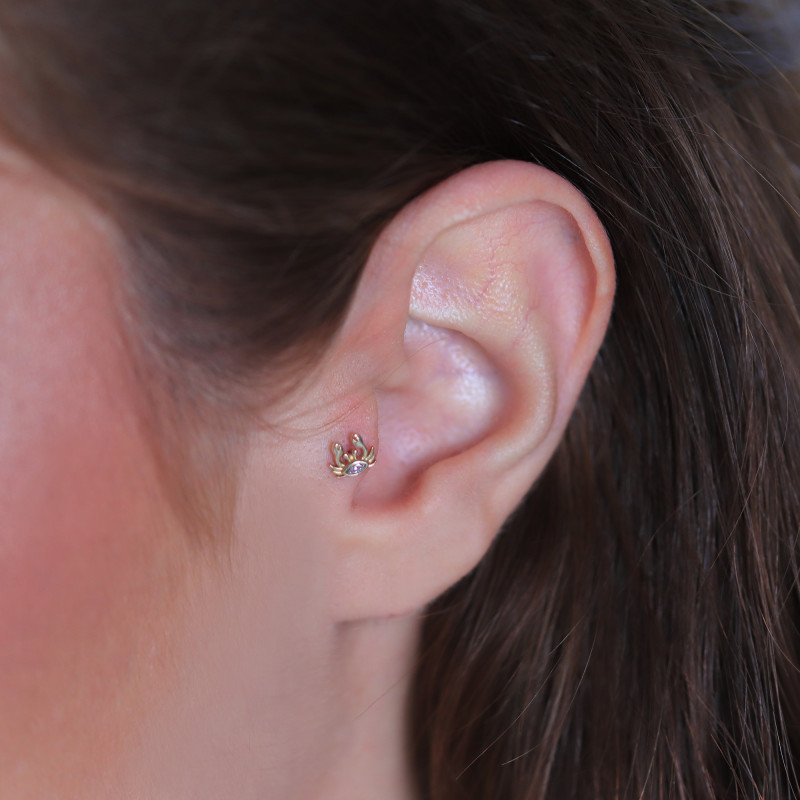 Yengeç Piercing