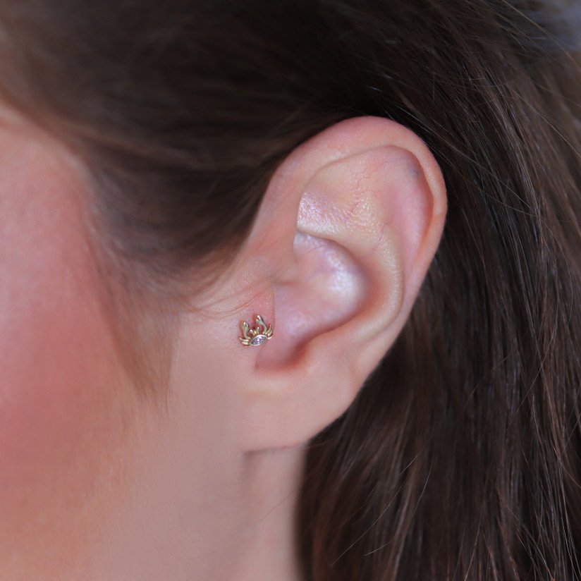 Yengeç Piercing