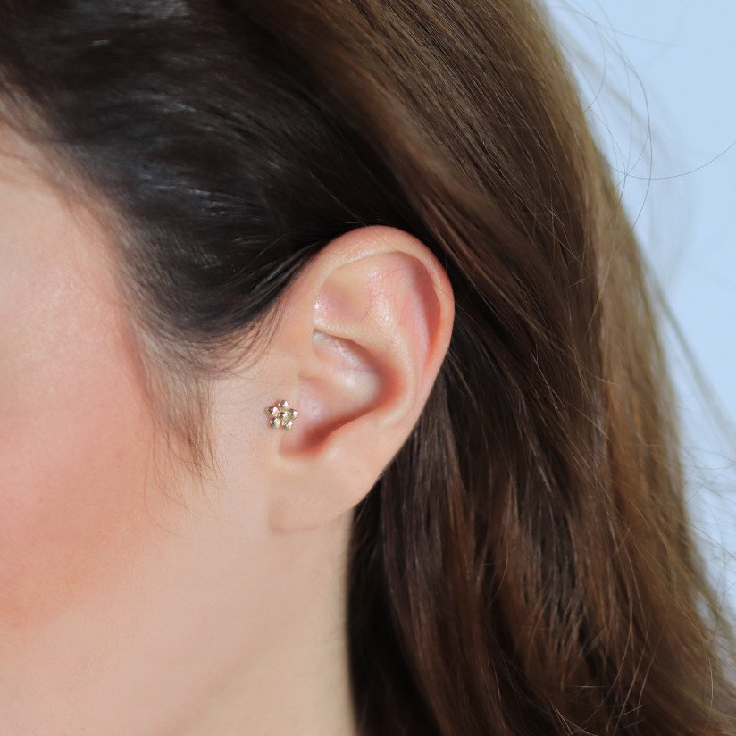 Çiçek Piercing