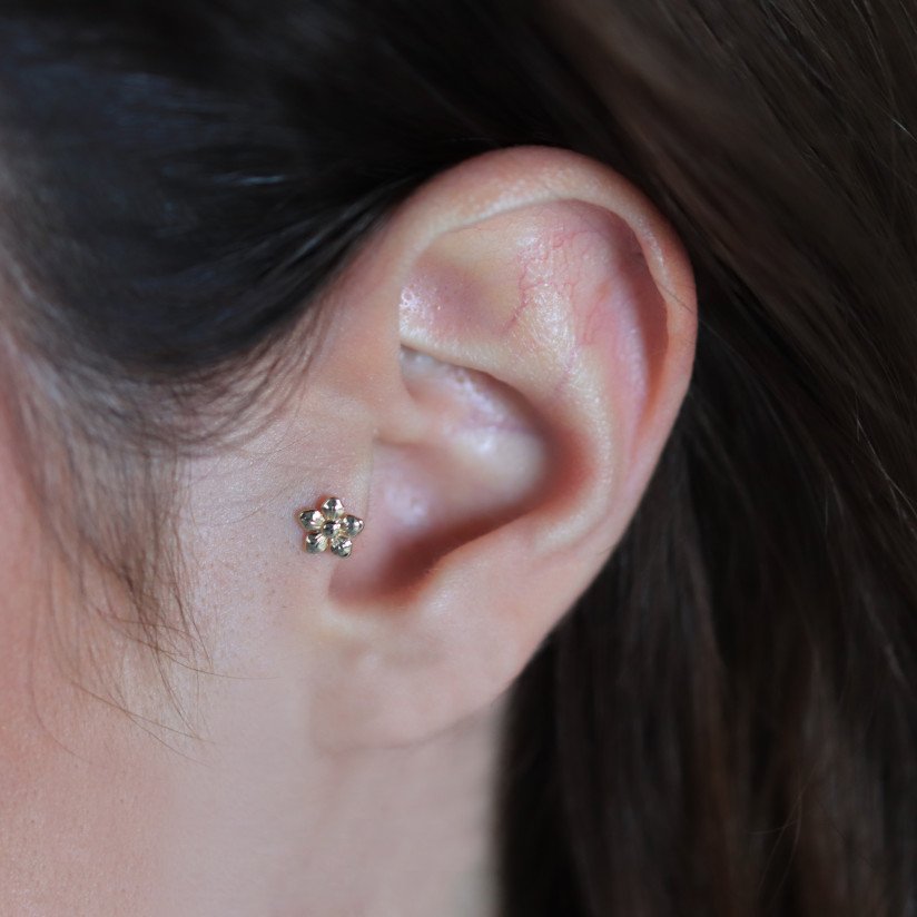 Çiçek Piercing