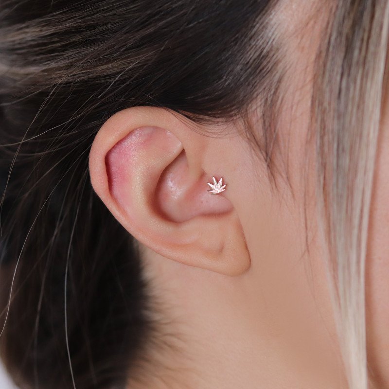 Yaprak Piercing