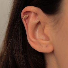 Yelpaze Piercing