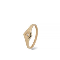 Taşlı Şovalye Yüzük