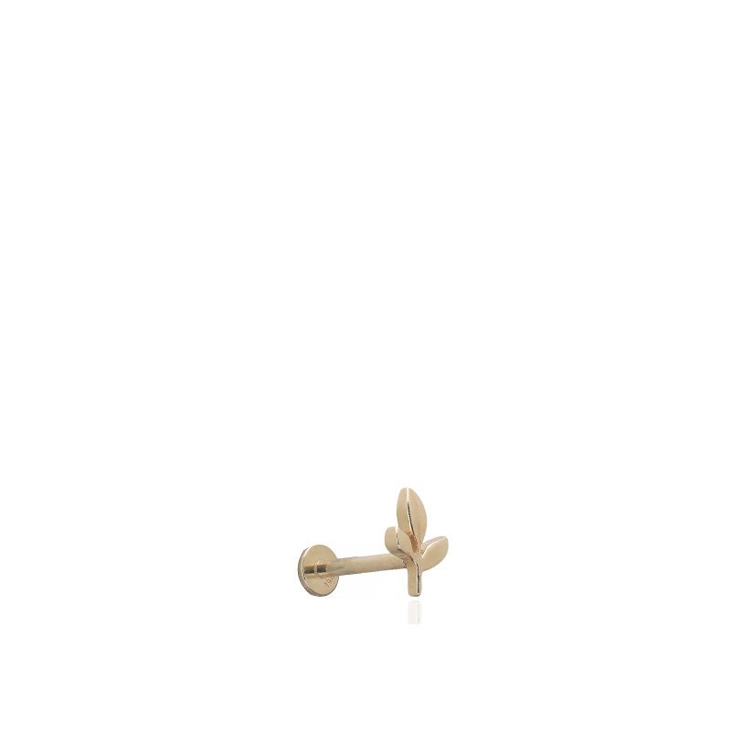 Yaprak Piercing