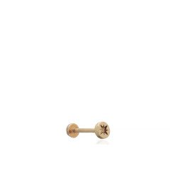 Kuzey Yıldızı Piercing
