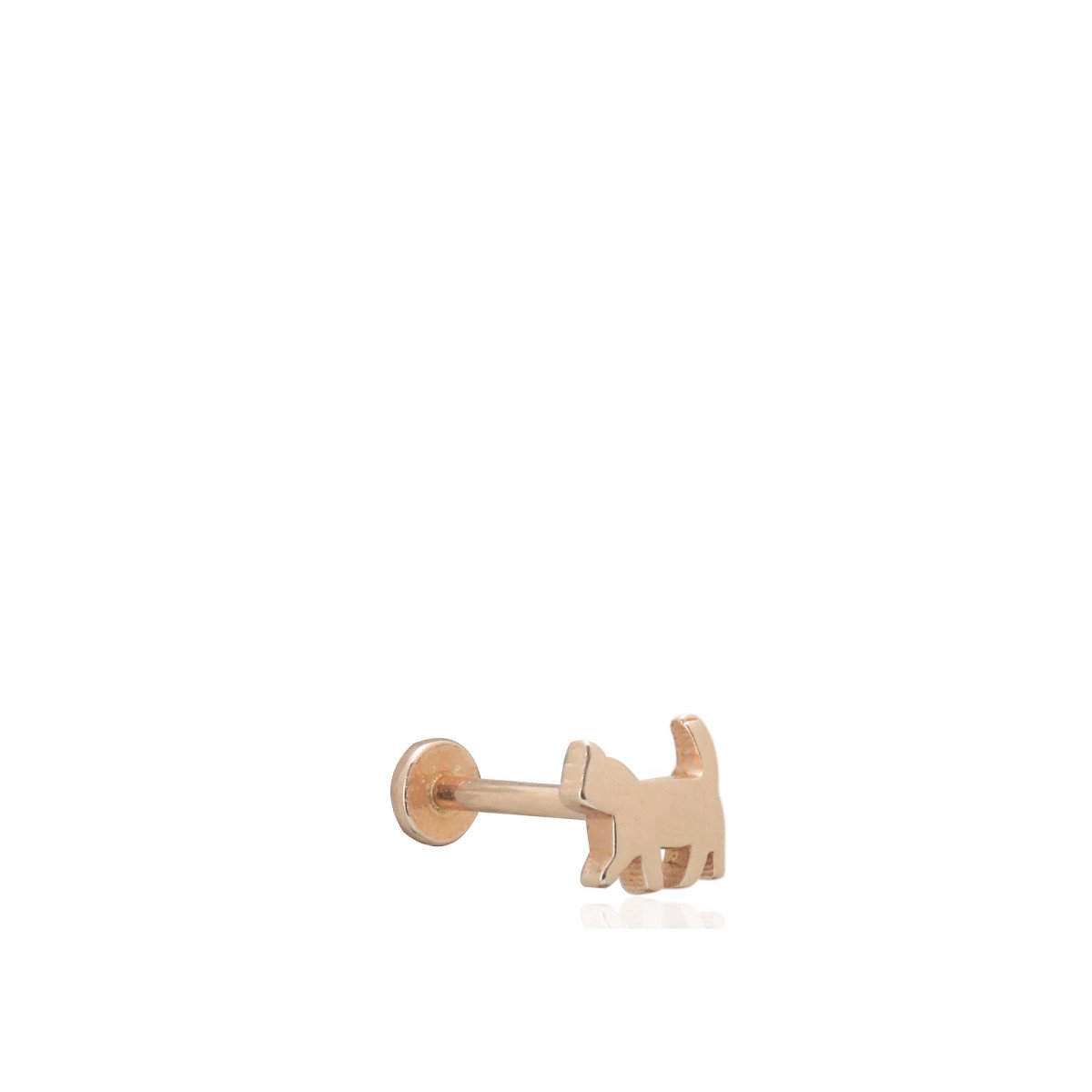 Kedi Piercing