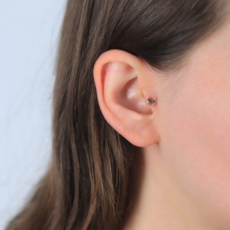 Kedi Piercing