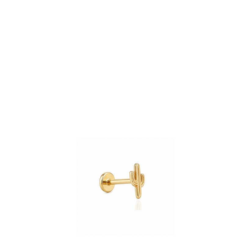 Kaktüs Piercing
