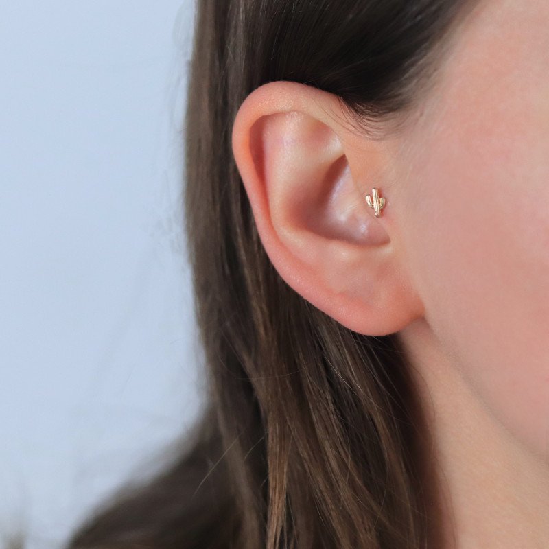 Kaktüs Piercing